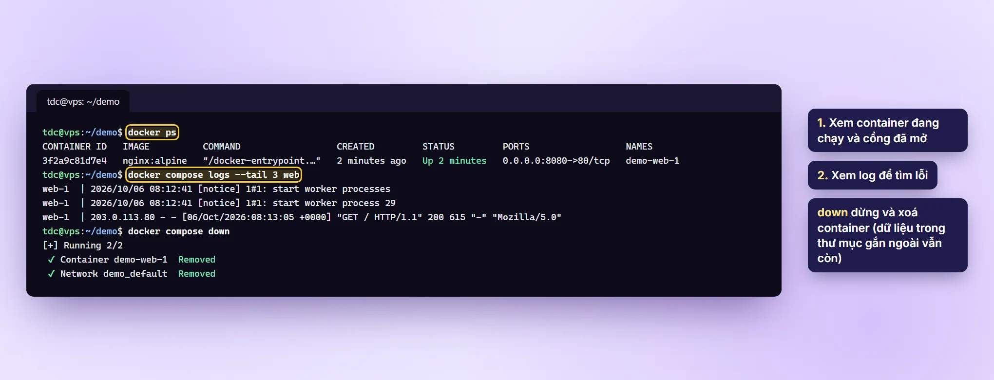 Kết quả docker ps, docker compose logs và docker compose down