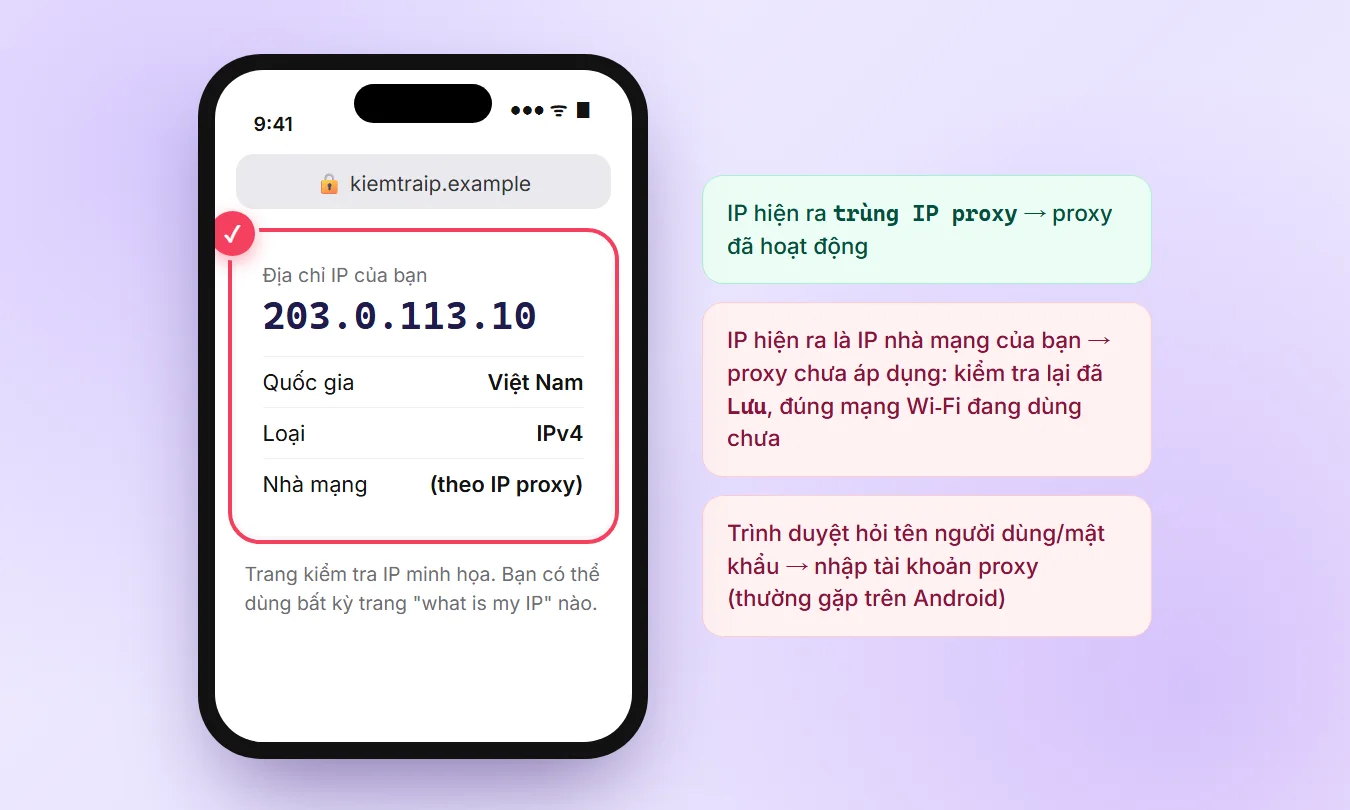 Trang kiểm tra IP trên điện thoại hiển thị IP proxy 203.0.113.10 tại Việt Nam và các trường hợp cần xử lý