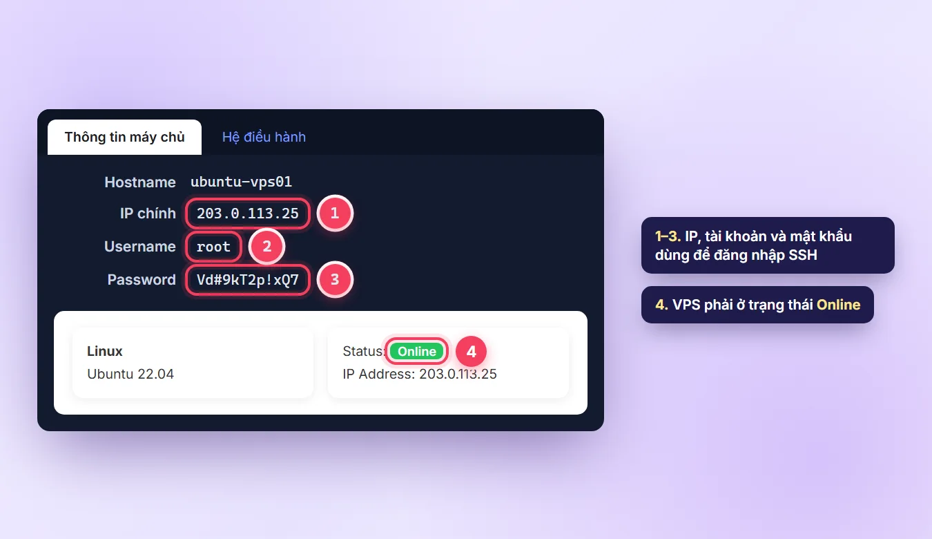 Trang quản lý VPS TDCLOUD hiển thị Hostname, IP chính, Username và Password