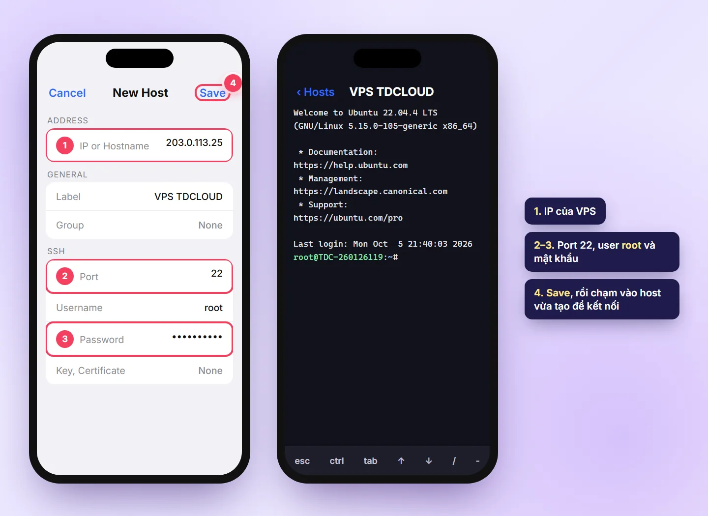 Tạo host mới trong ứng dụng Termius trên điện thoại và kết nối SSH vào VPS
