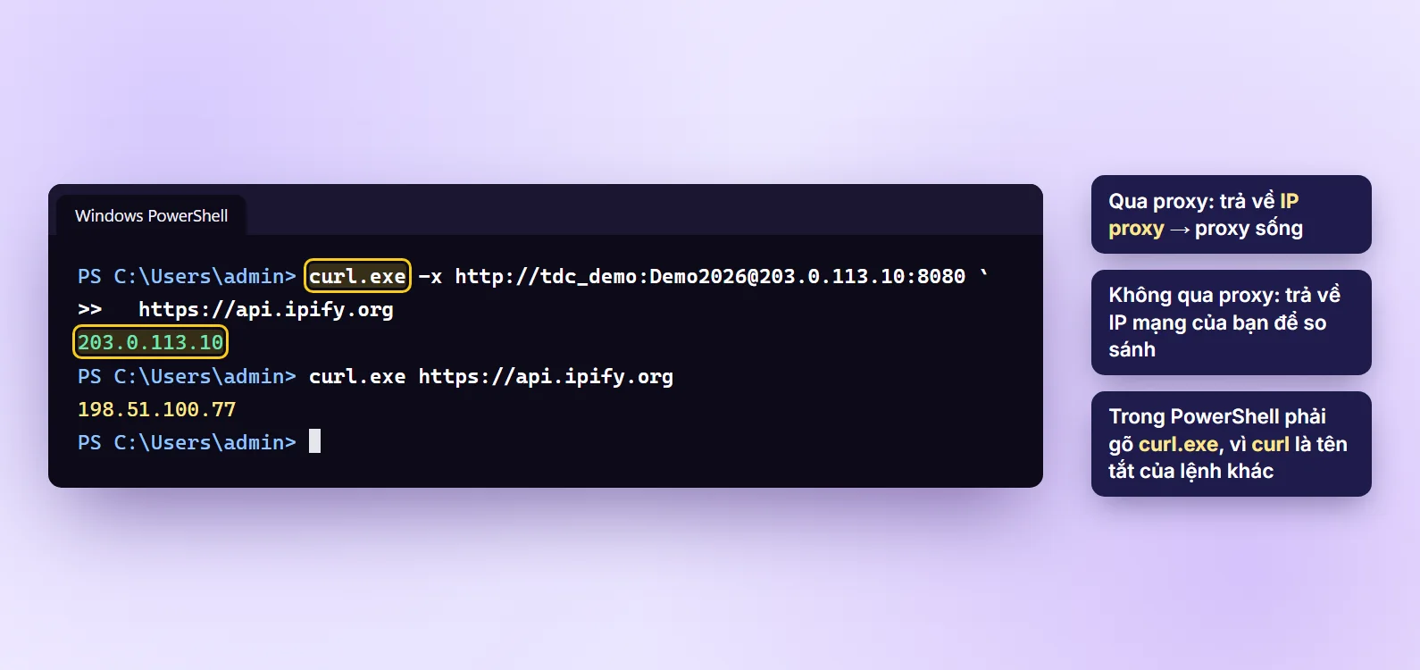 Kiểm tra proxy HTTP bằng curl.exe trong PowerShell, kết quả trả về IP proxy 203.0.113.10