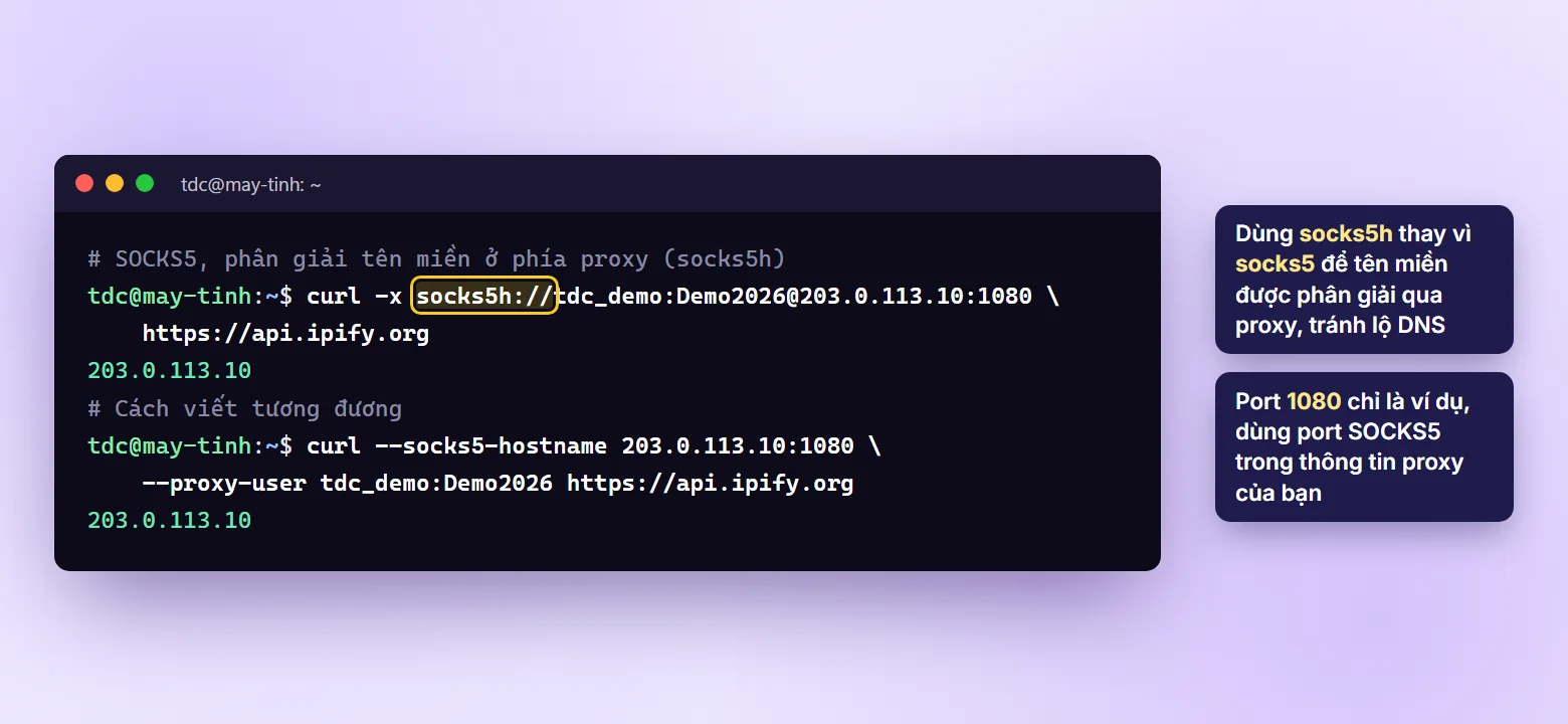 Kiểm tra proxy SOCKS5 bằng curl với socks5h và socks5-hostname trên Linux