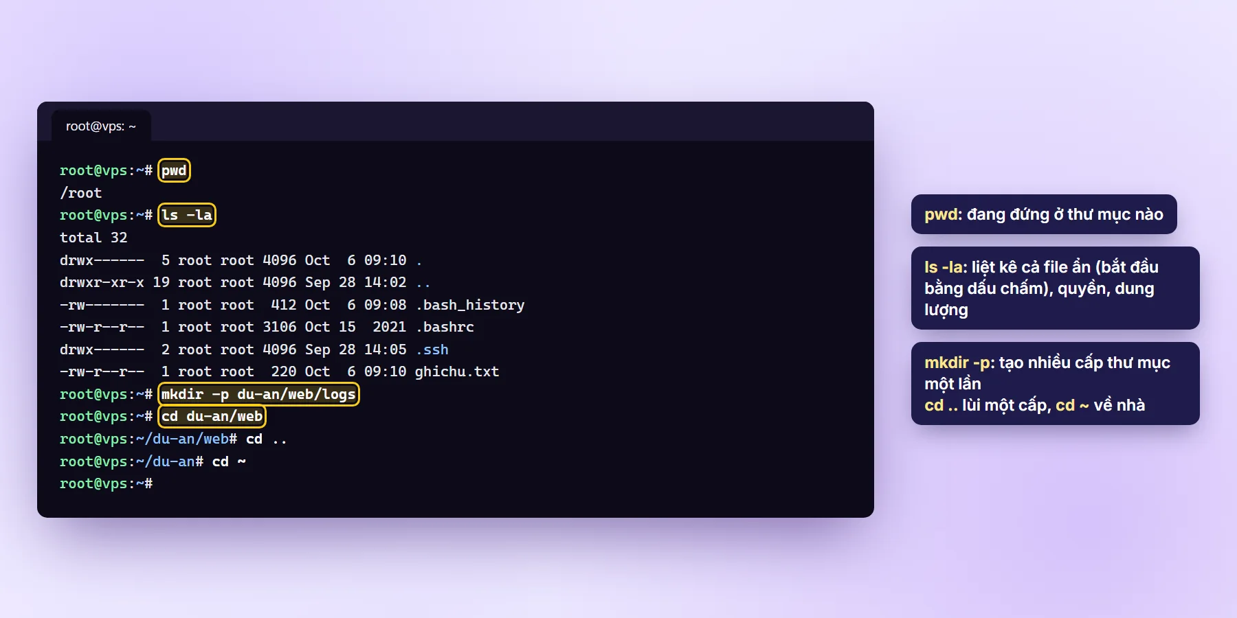 Terminal chạy pwd, ls -la, mkdir -p và cd trên VPS Linux