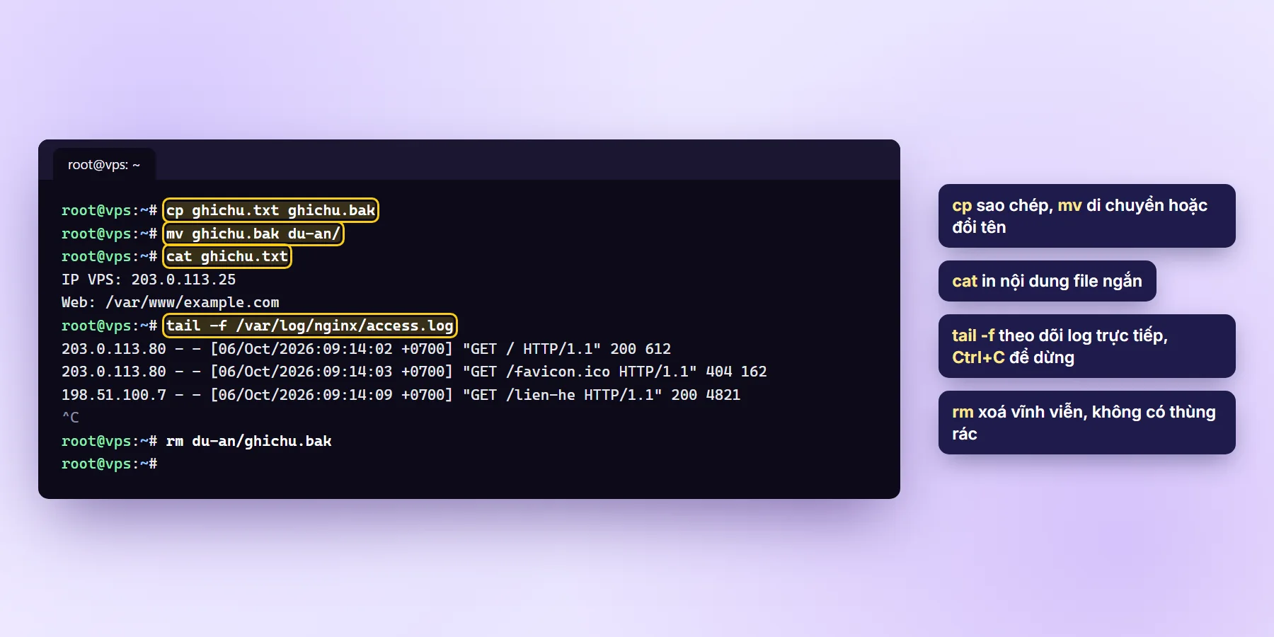 Ví dụ lệnh cp, mv, cat, tail -f theo dõi access.log của Nginx và rm