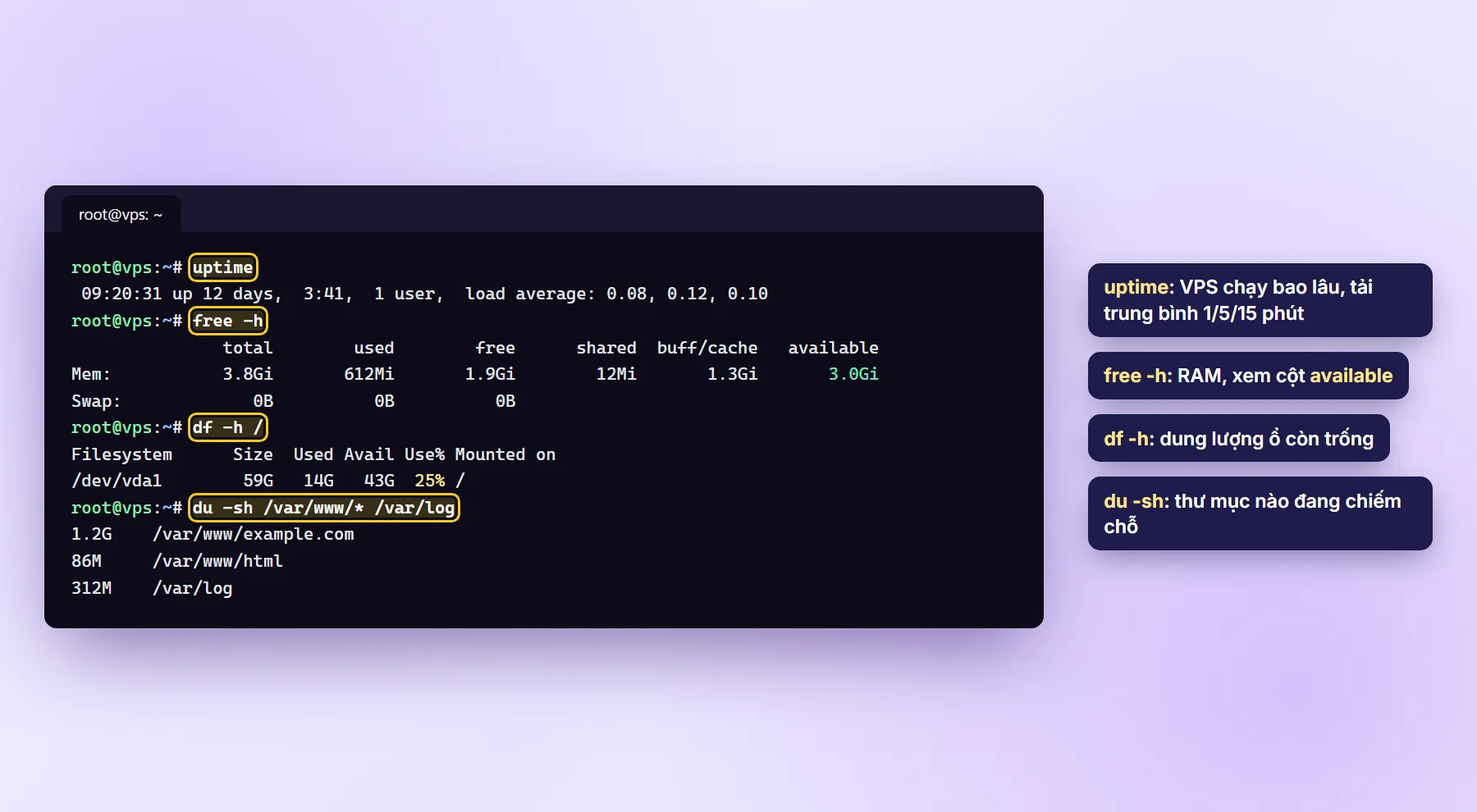 Kết quả uptime, free -h, df -h và du -sh trên VPS Ubuntu