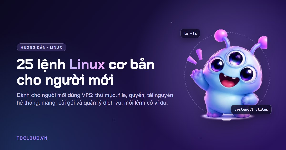 25 lệnh Linux cơ bản cho người mới dùng VPS (kèm ví dụ)