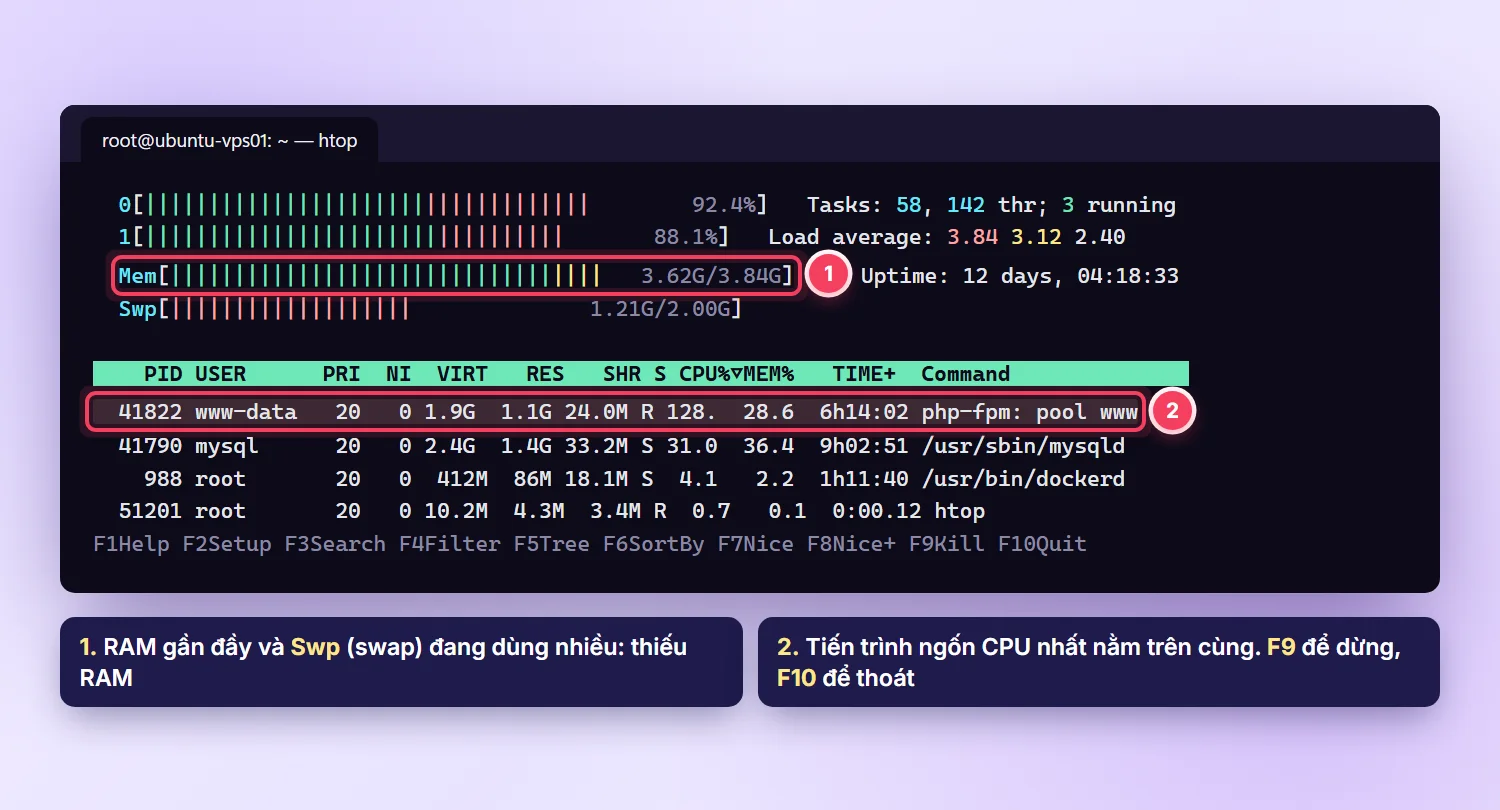 htop trên VPS Linux: 2 vCPU gần 90%, RAM 3,62/3,84 GB, swap đang dùng 1,21 GB, php-fpm dùng nhiều CPU nhất