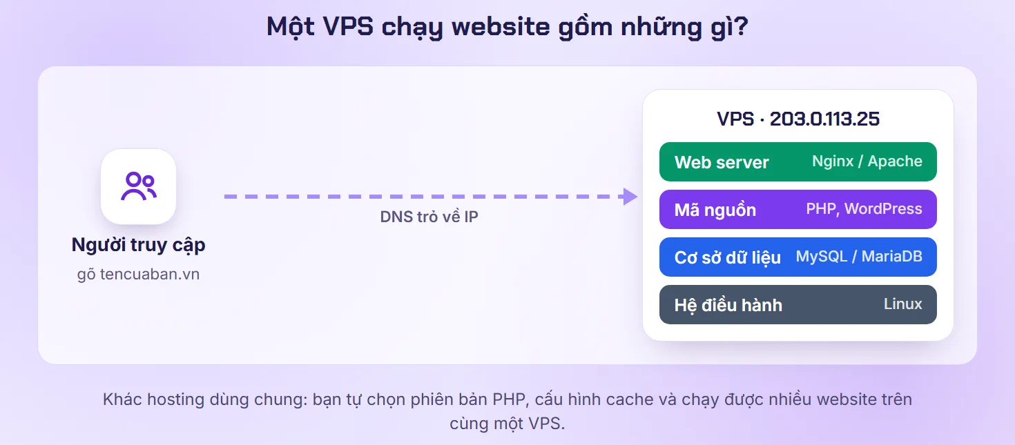 Sơ đồ người truy cập gõ tên miền, DNS trỏ về IP VPS gồm web server, mã nguồn, cơ sở dữ liệu và hệ điều hành Linux